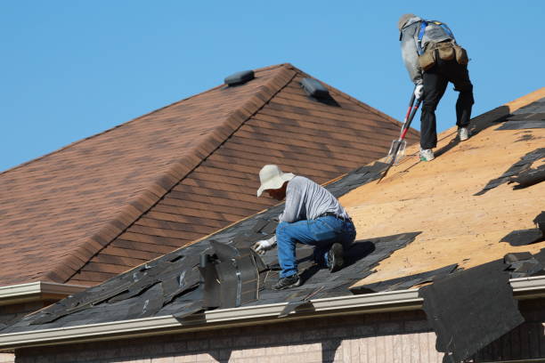 Best Solar Panel Roofing Installation  in Shafter, CA